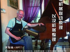 黄智炜老师沈阳音乐学院钢琴技术讲学——钢琴机械联动原理以及机械调整