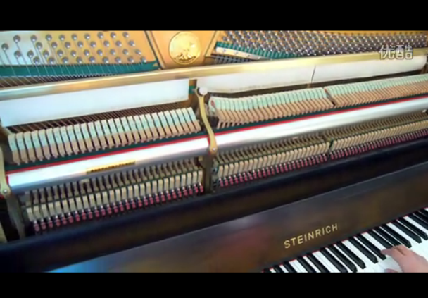 伯雅钢琴-斯坦尼奇STEINRICH S-18EA最高级手工制作钢琴